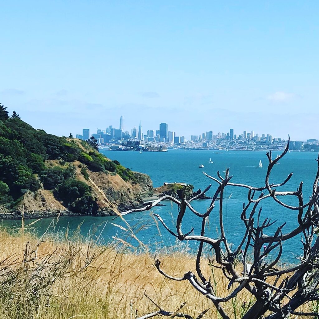 View of San Francisco from Angel Island, a day trip from Sausalito