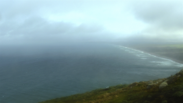 Sausalito Webcams - Sausalito Buzz